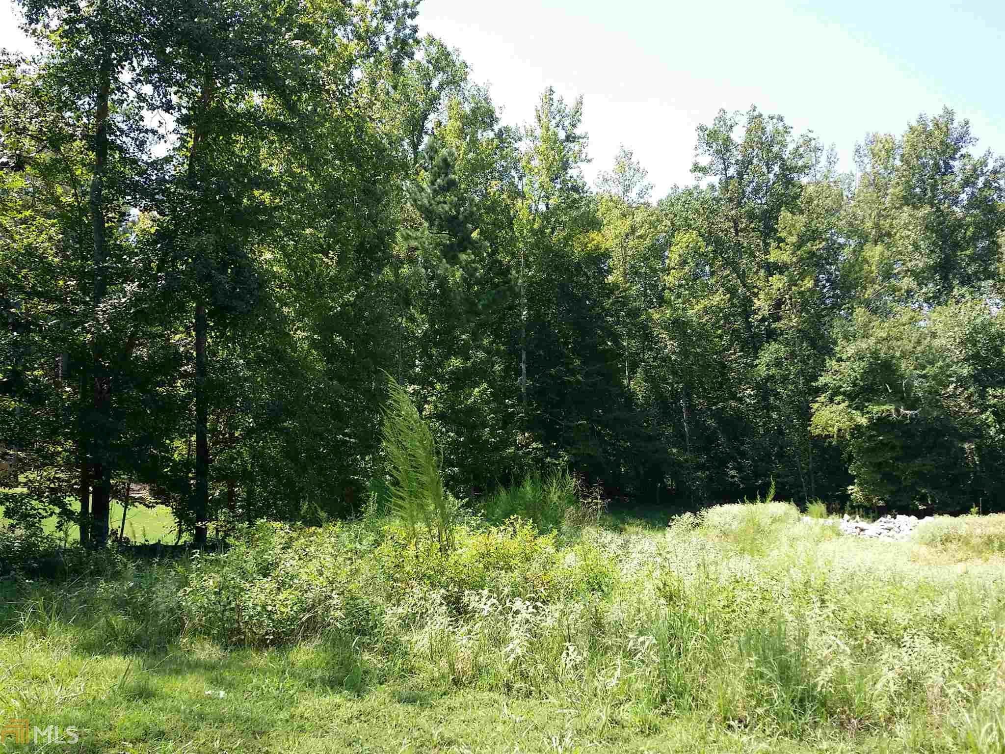 313 Roundstone Rock, Tyrone, GA 30290 photo 22