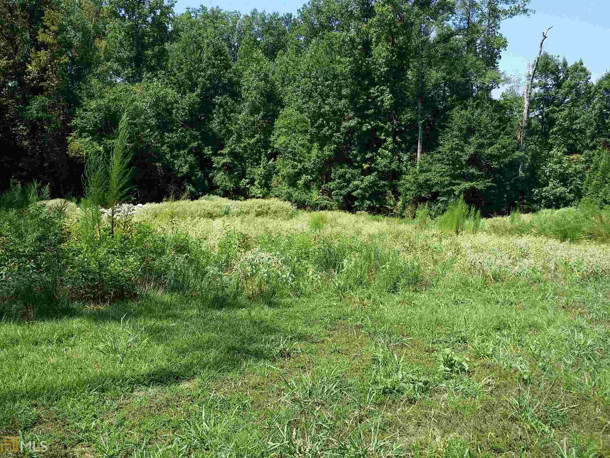 313 Roundstone Rock, Tyrone, GA 30290 photo 2