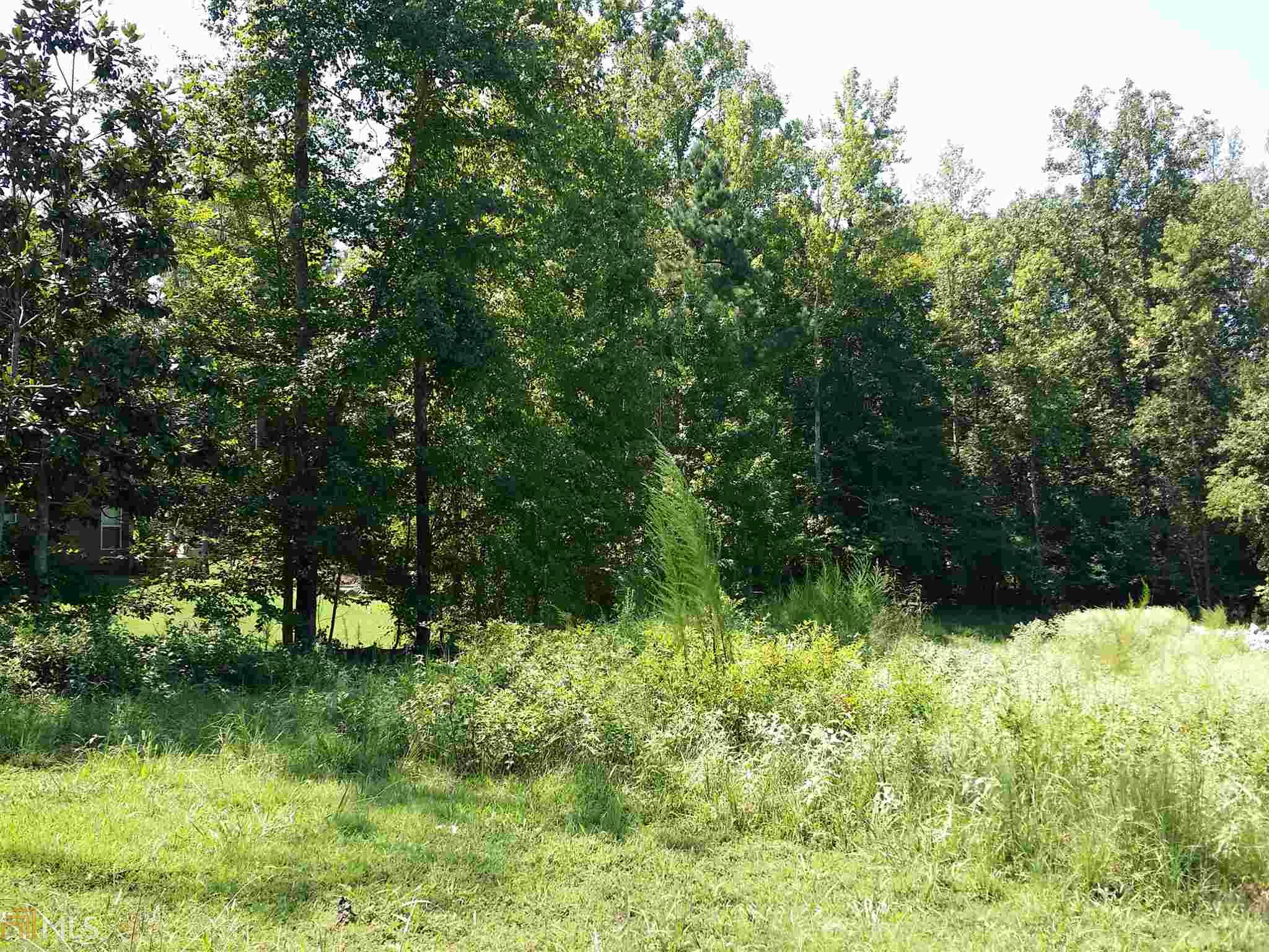 313 Roundstone Rock, Tyrone, GA 30290 photo 23