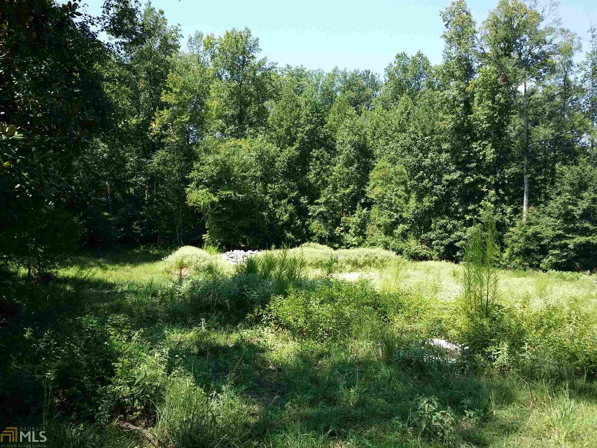 313 Roundstone Rock, Tyrone, GA 30290 photo 8