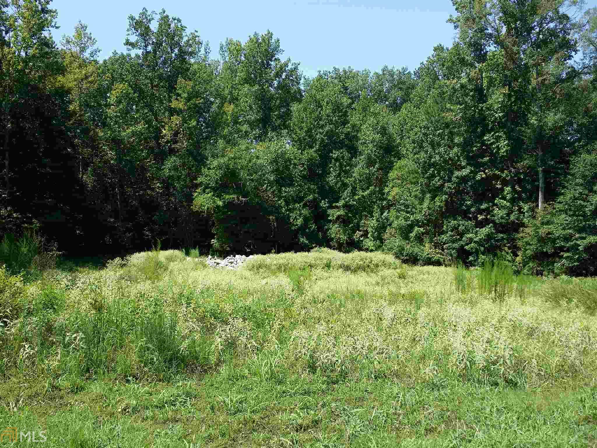 313 Roundstone Rock, Tyrone, GA 30290 photo 16