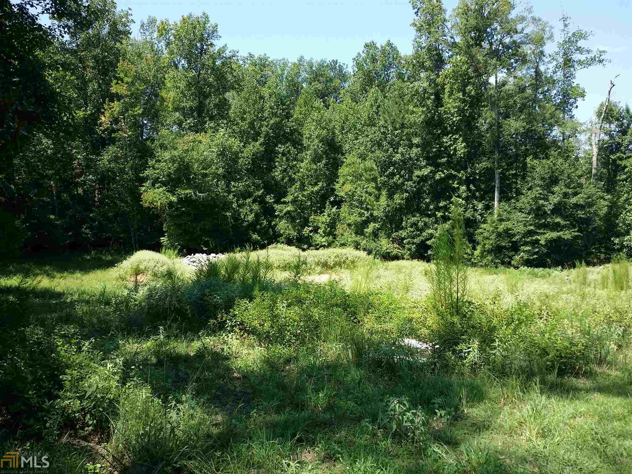313 Roundstone Rock, Tyrone, GA 30290 photo 7