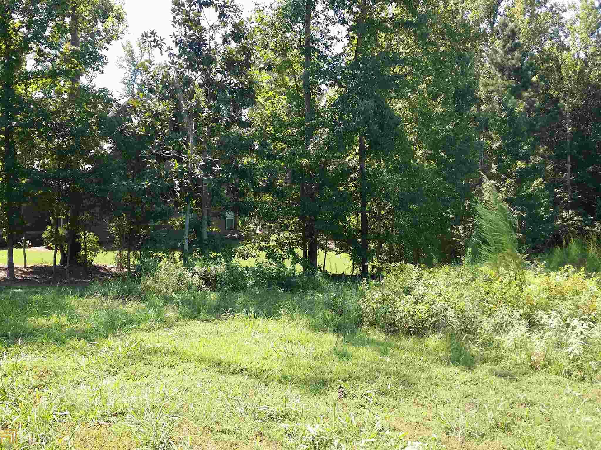 313 Roundstone Rock, Tyrone, GA 30290 photo 25