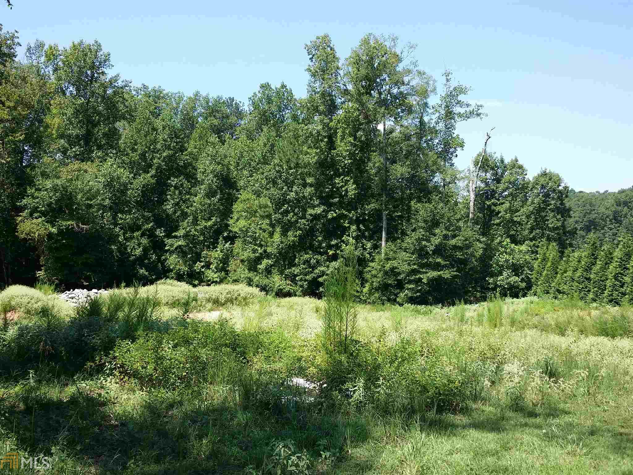 313 Roundstone Rock, Tyrone, GA 30290 photo 11