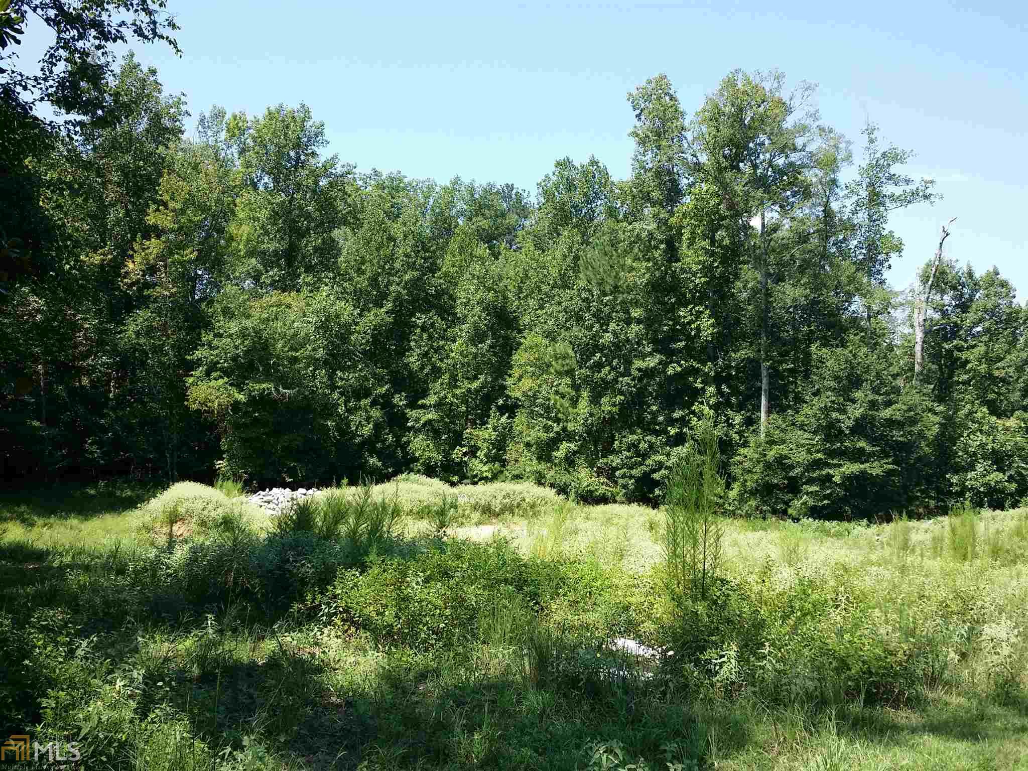 313 Roundstone Rock, Tyrone, GA 30290 photo 10