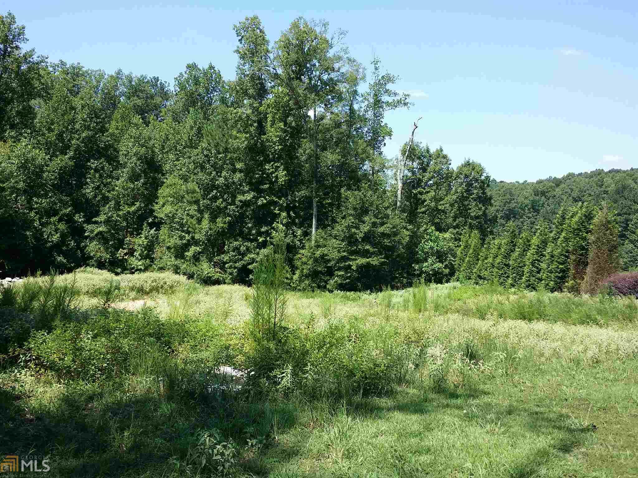 313 Roundstone Rock, Tyrone, GA 30290 photo 12