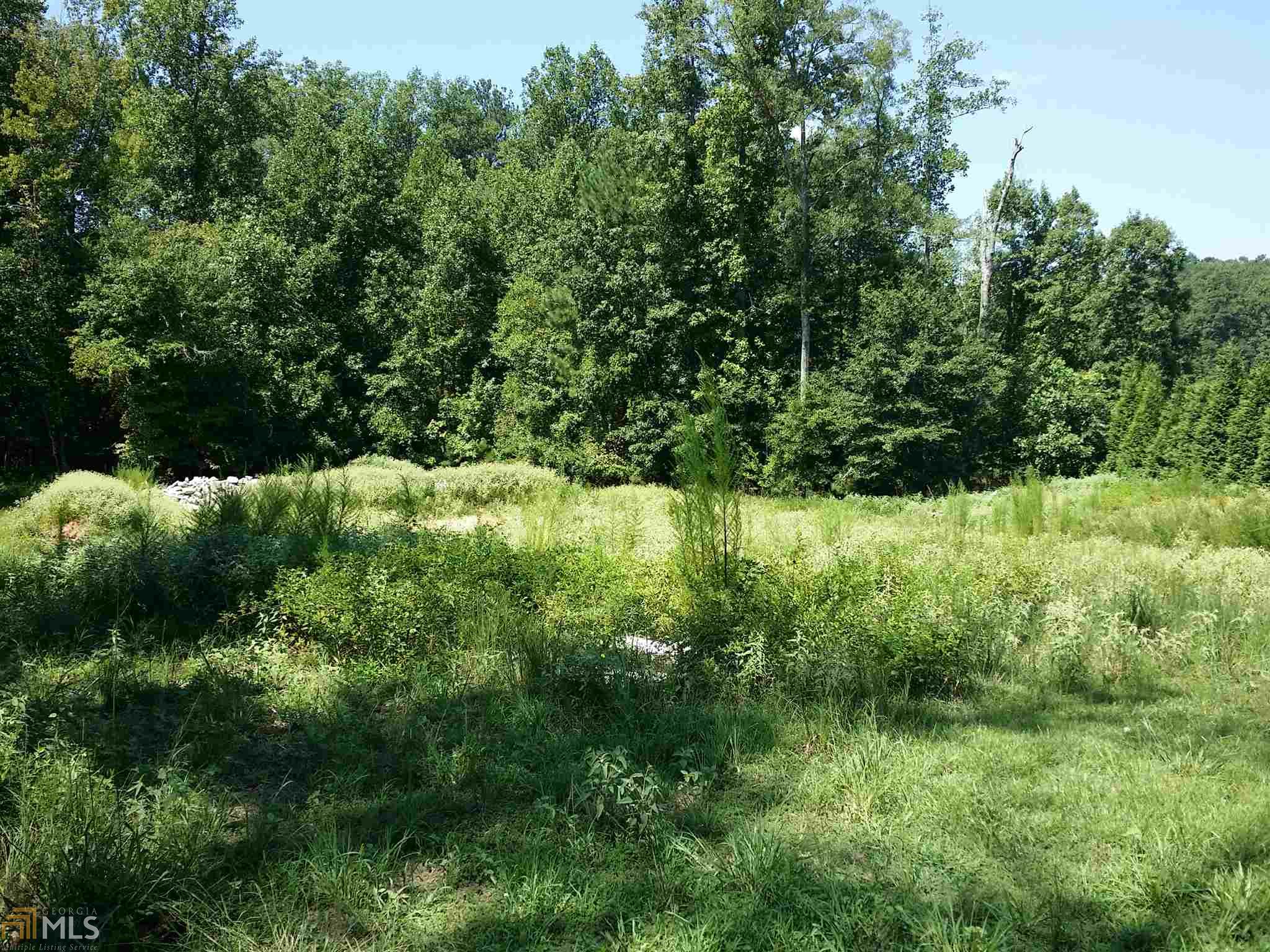 313 Roundstone Rock, Tyrone, GA 30290 photo 6