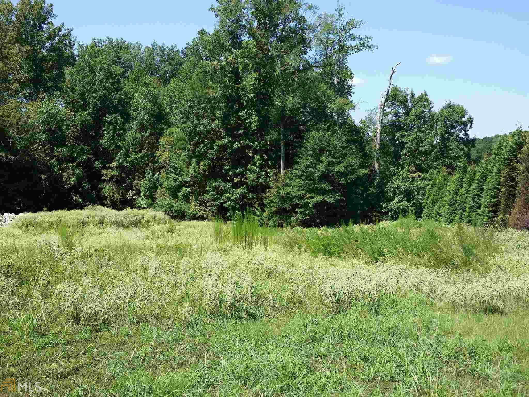 313 Roundstone Rock, Tyrone, GA 30290 photo 19