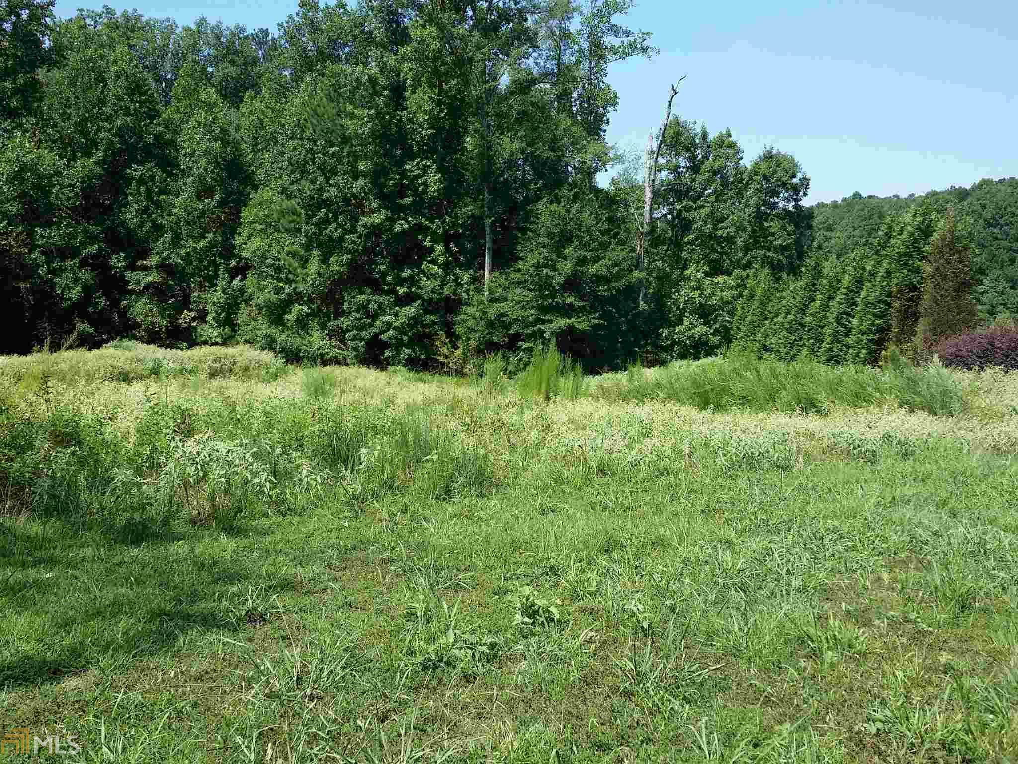 313 Roundstone Rock, Tyrone, GA 30290 photo 4