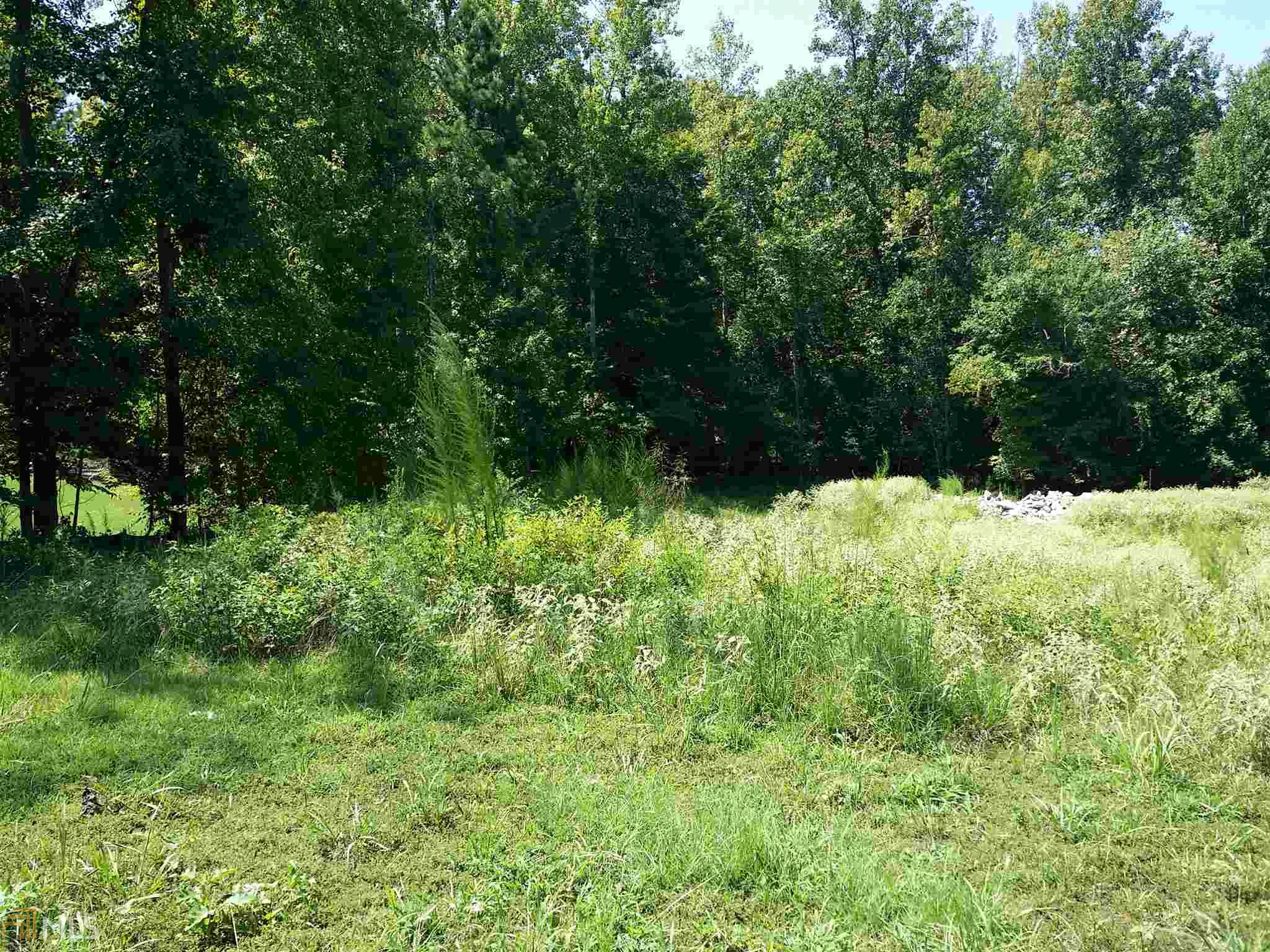 313 Roundstone Rock, Tyrone, GA 30290 photo 21