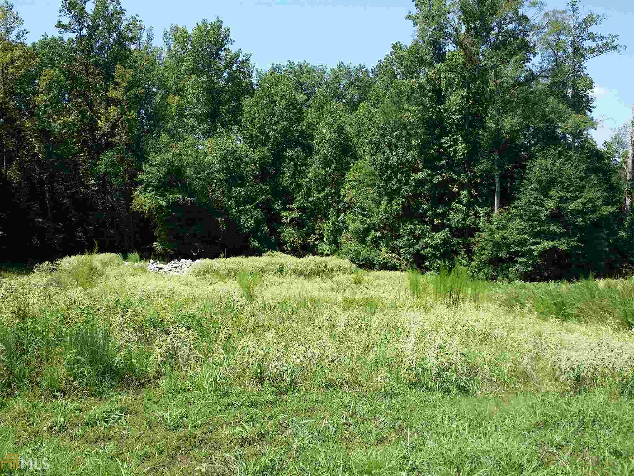 313 Roundstone Rock, Tyrone, GA 30290 photo 17