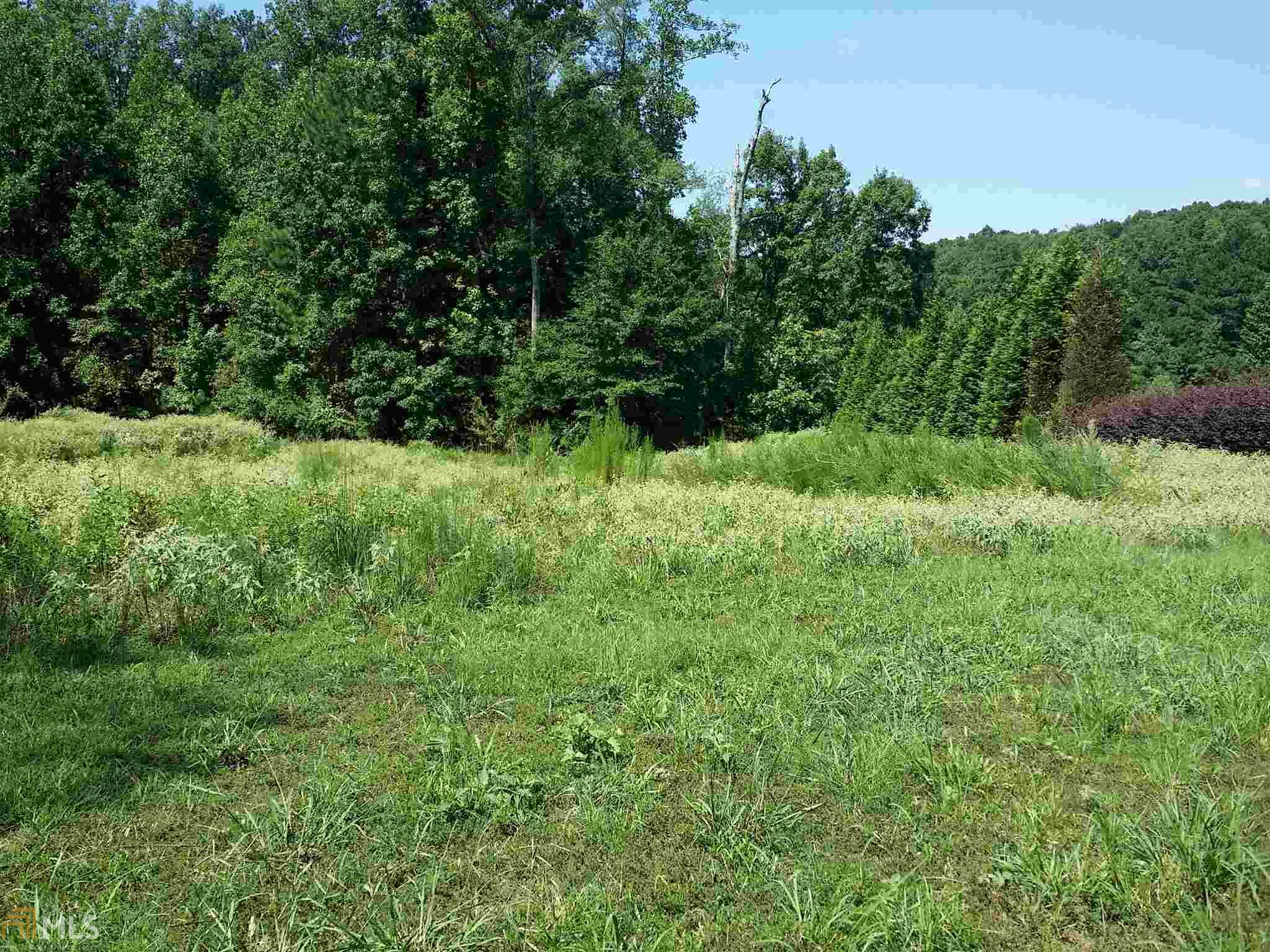 313 Roundstone Rock, Tyrone, GA 30290 photo 5