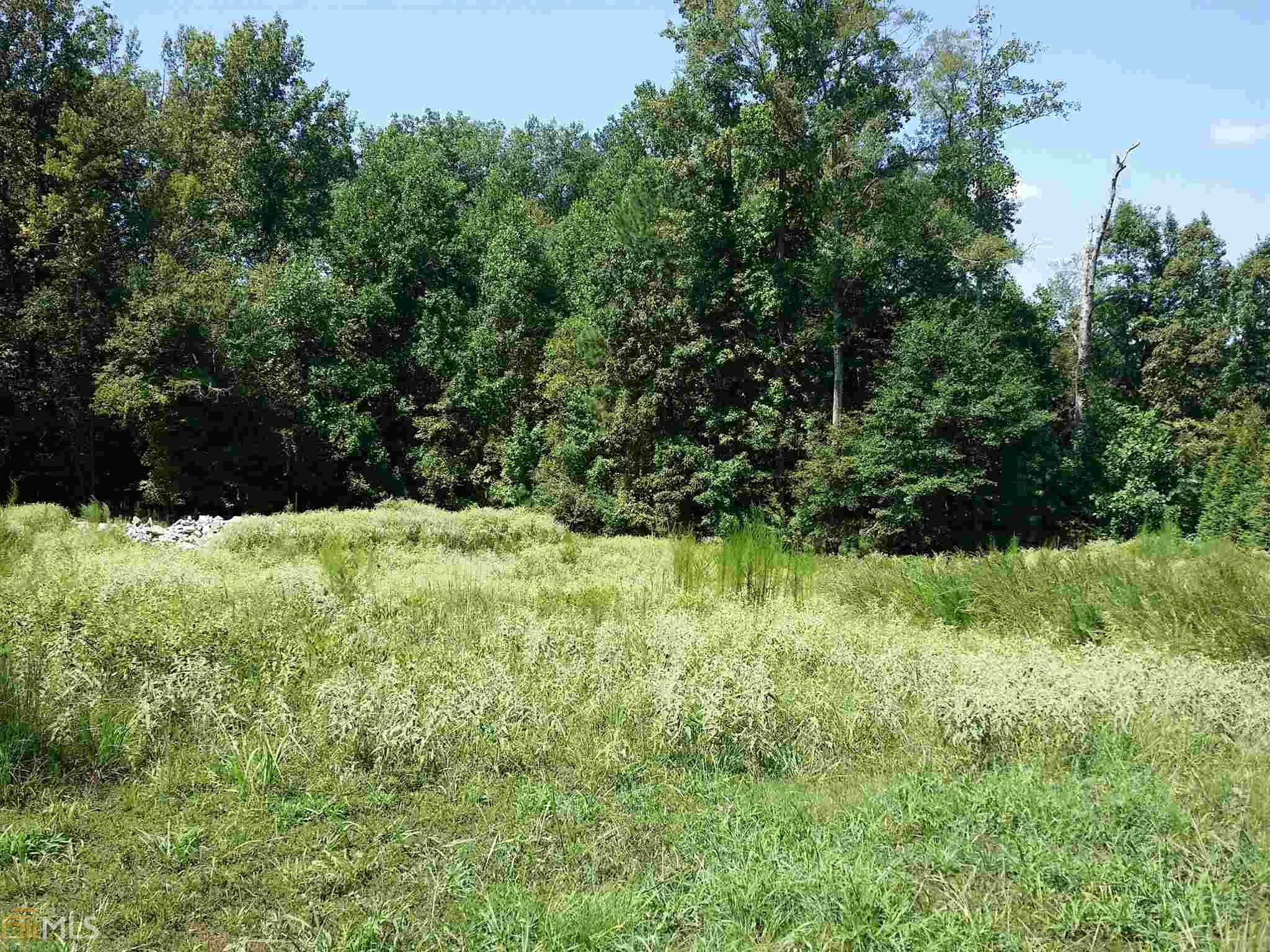 313 Roundstone Rock, Tyrone, GA 30290 photo 18