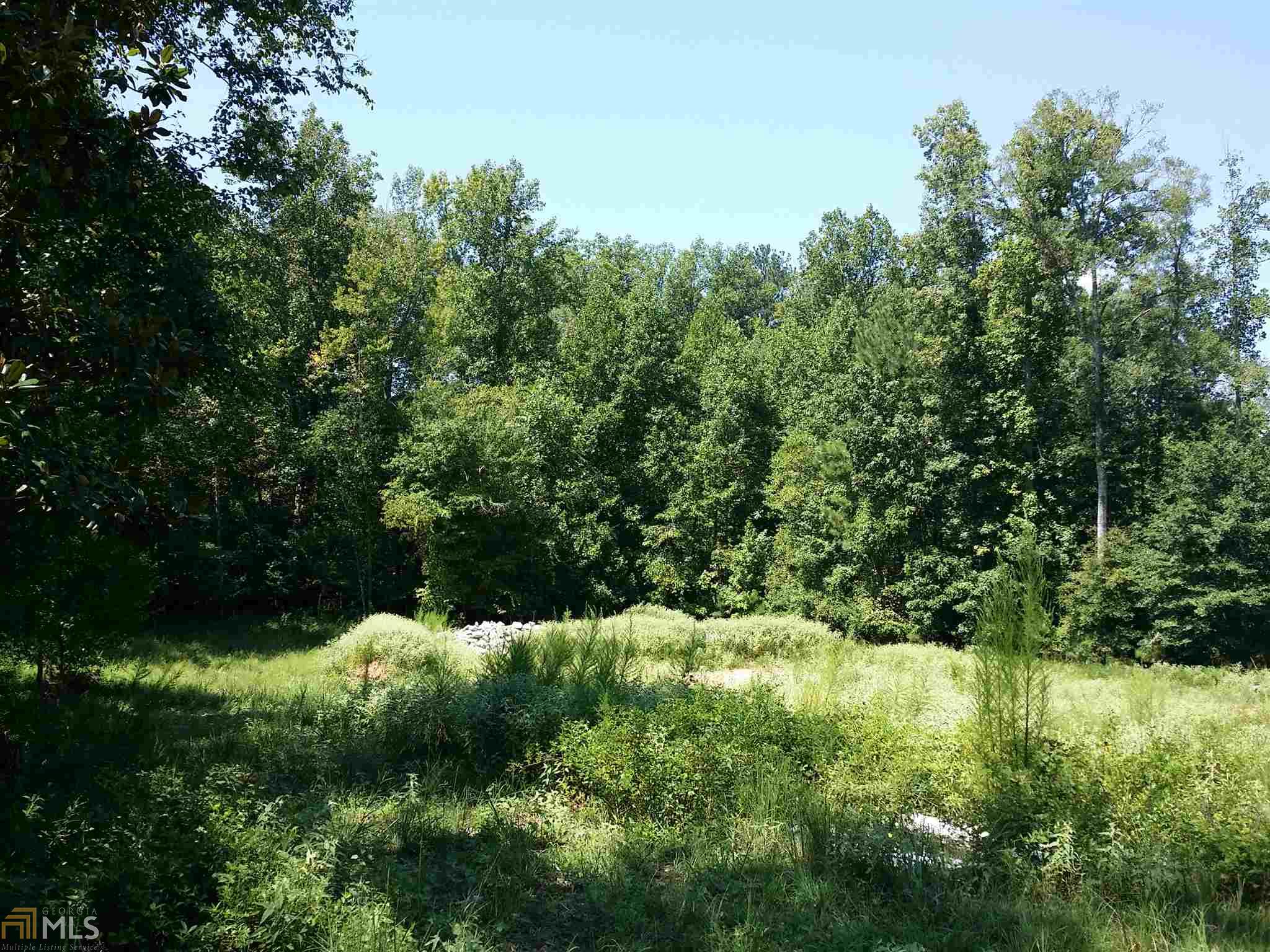 313 Roundstone Rock, Tyrone, GA 30290 photo 9