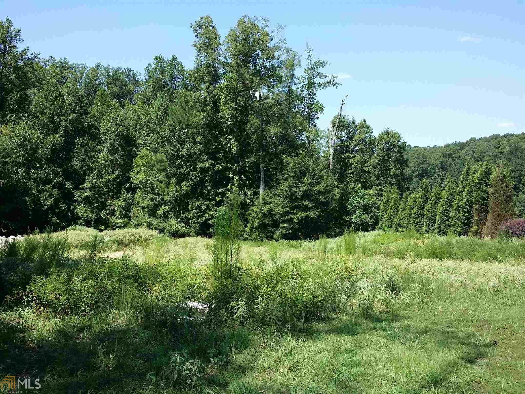 313 Roundstone Rock, Tyrone, GA 30290 photo 13