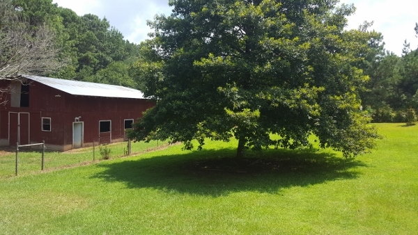246 Hammock Rd, Waco, GA 30182 photo 18