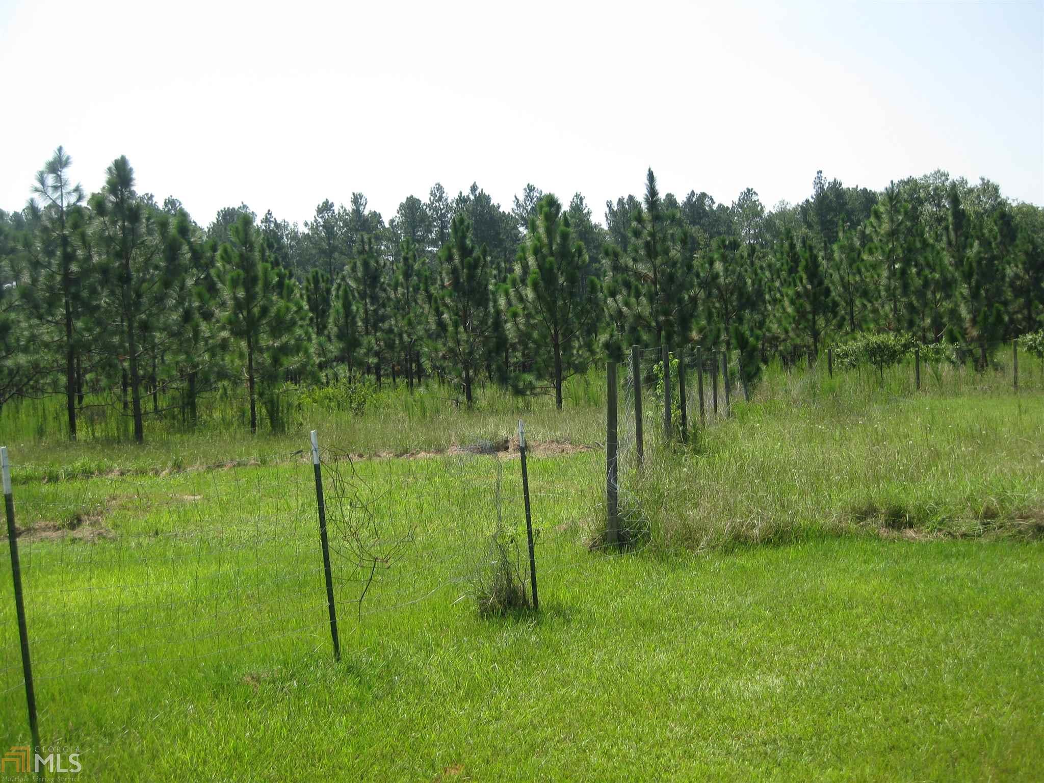 1035 Euel Saggus Rd, Tignall, GA 30668 photo 8