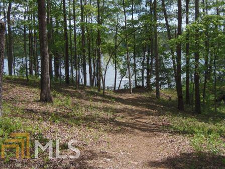 1021 County Rd 520, Five Points, AL 36855 photo 10