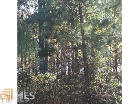 251 Galway Ln, Hampton, GA 30228 photo 14