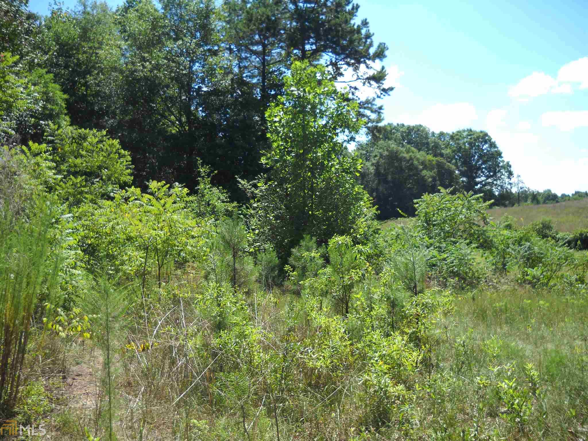 3616 Woods Bridge Rd, Commerce, GA 30529 photo 6