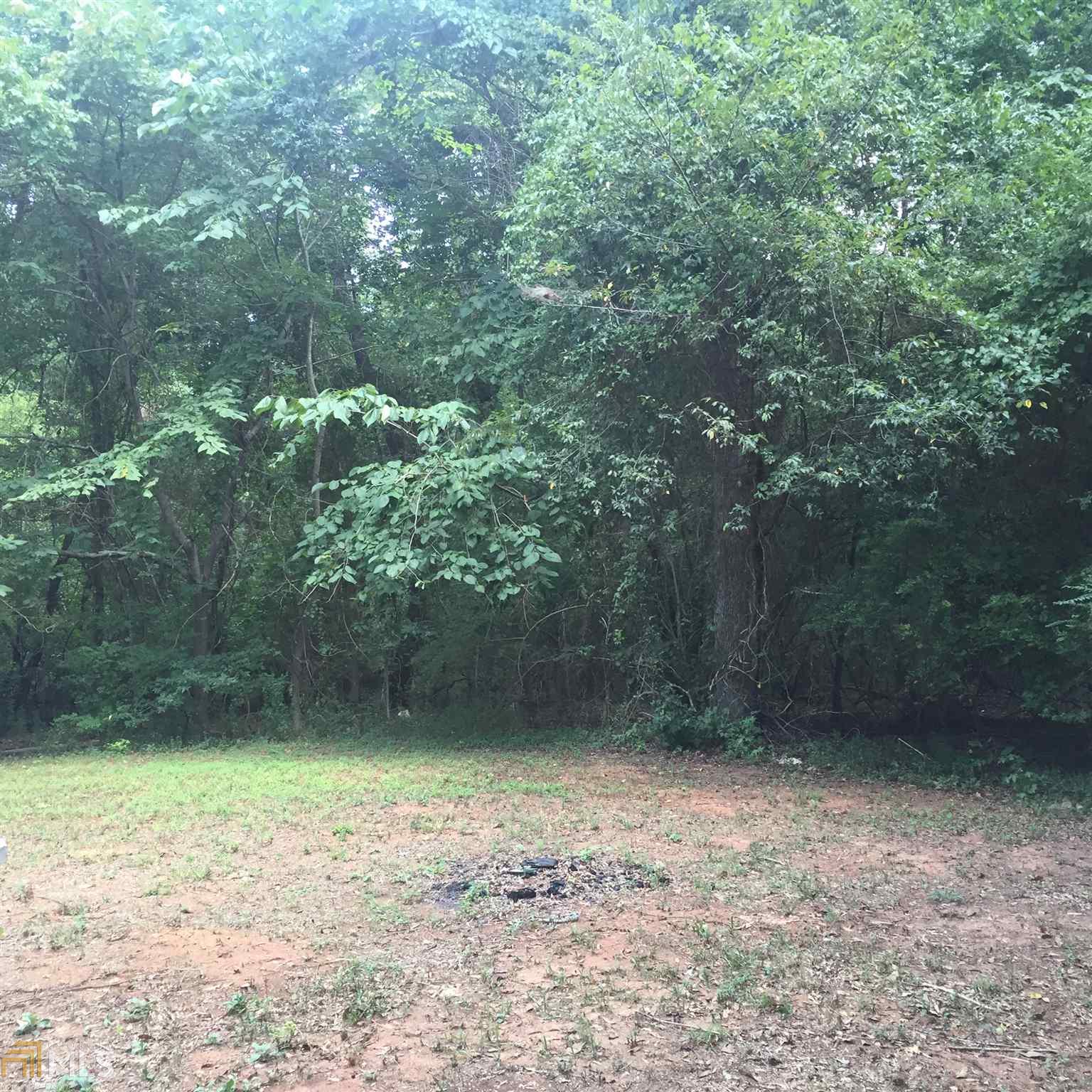 199 Cauthen Rd, Milner, GA 30257 photo 5