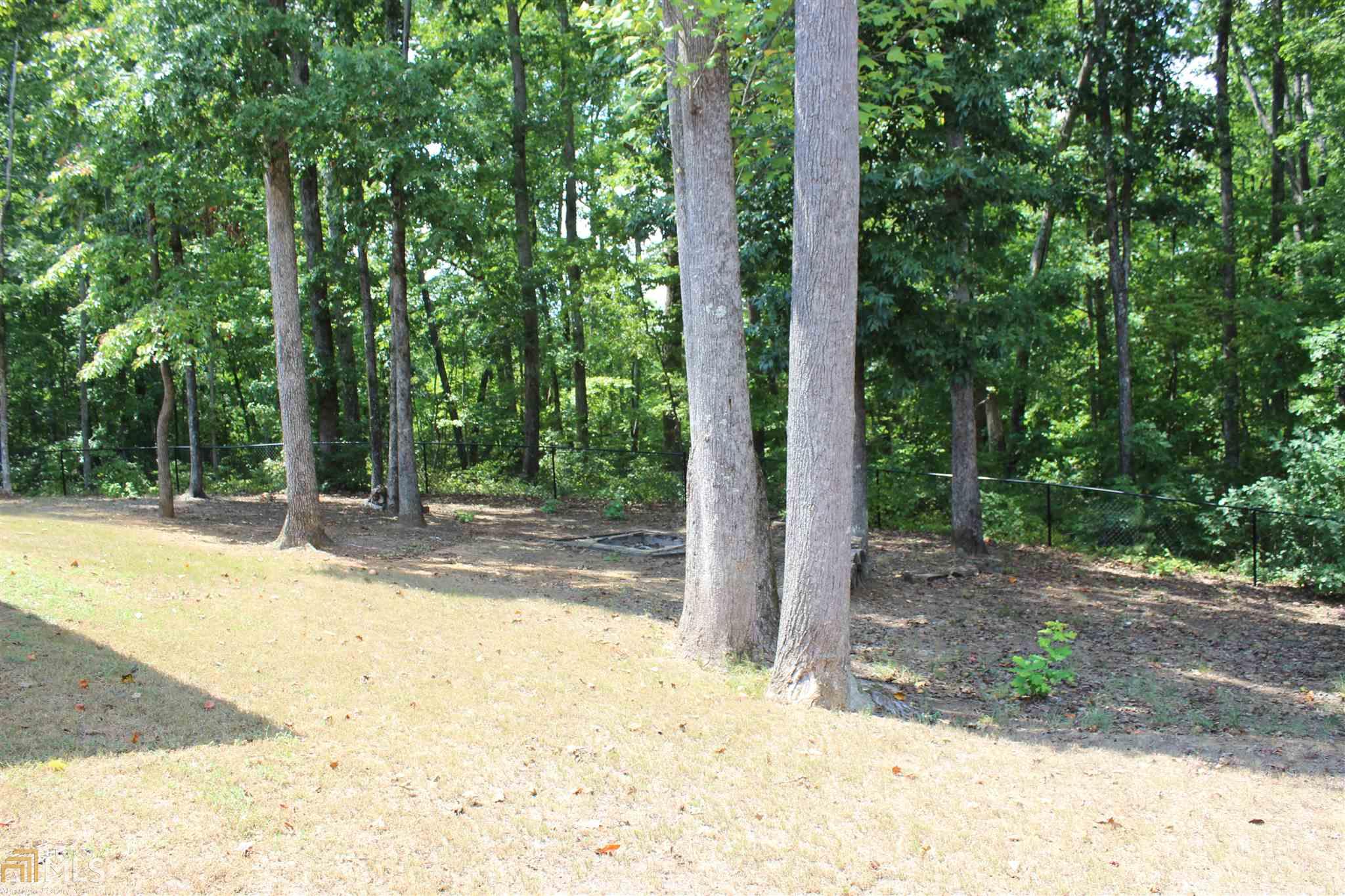 133 Mariahs Walk, Hampton, GA 30228 photo 6