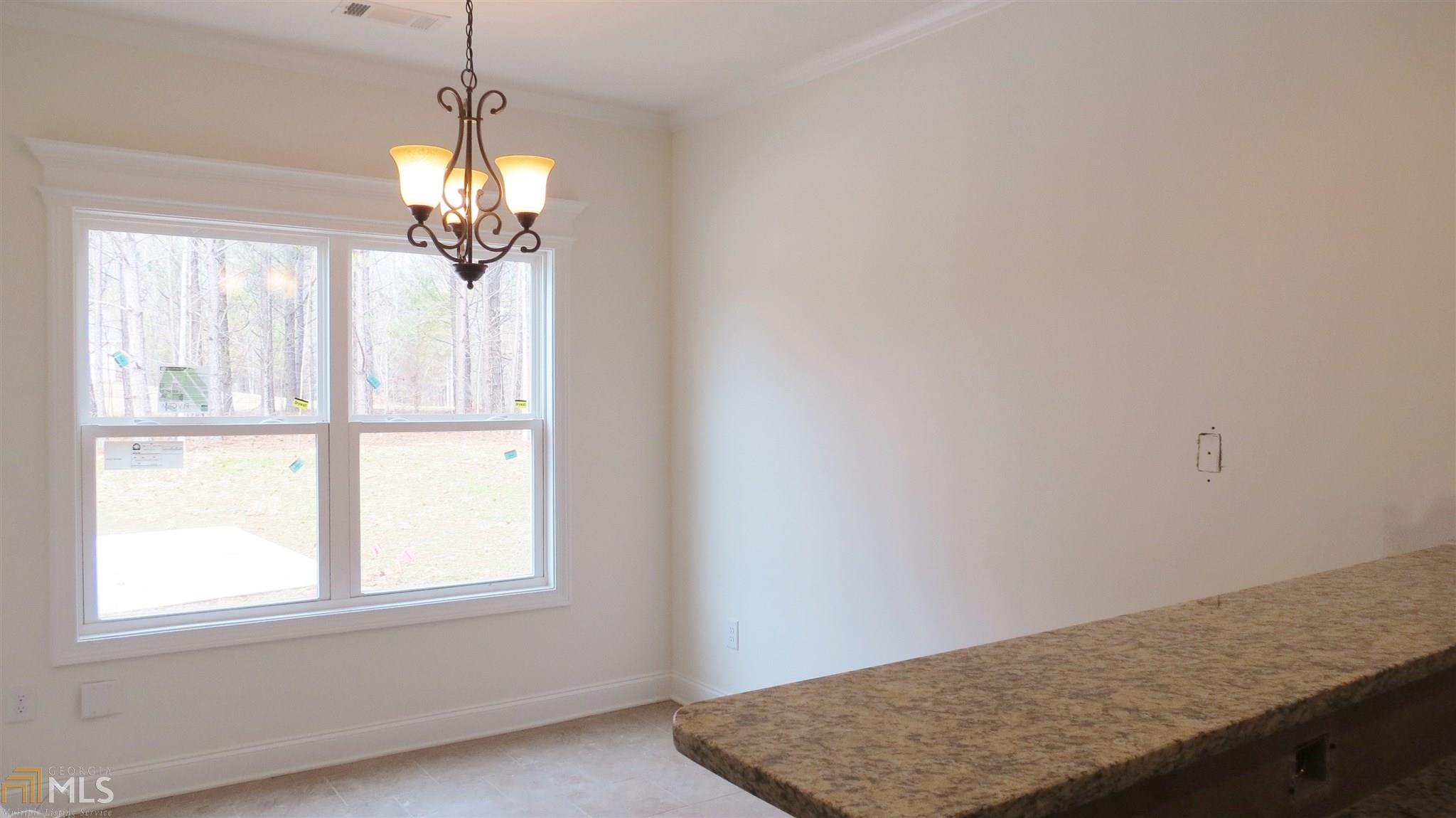 804 Smallwood Trce, Hampton, GA 30228 photo 11