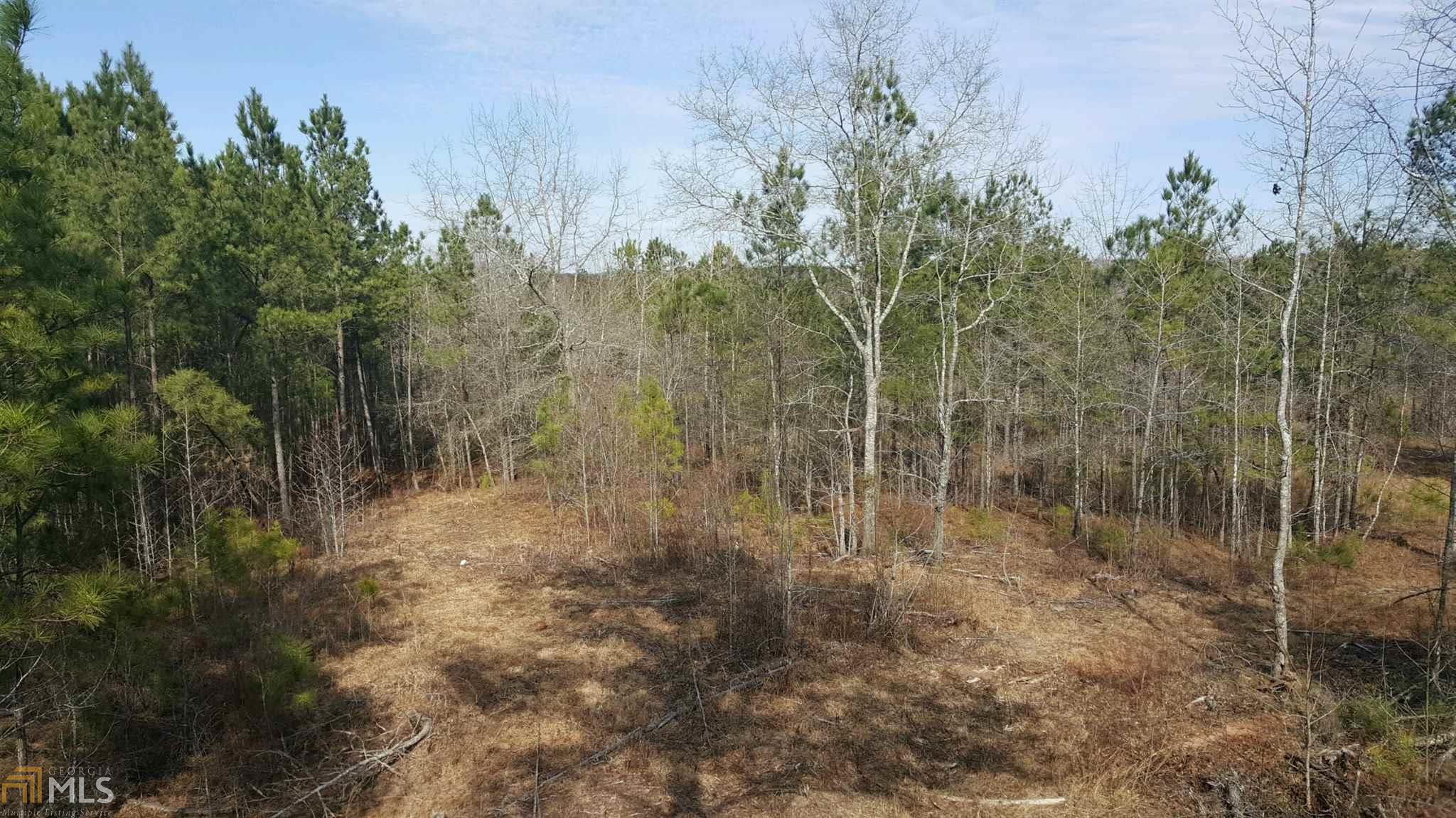 1121 Scott Branch Rd, Williamson, GA 30292 photo 26