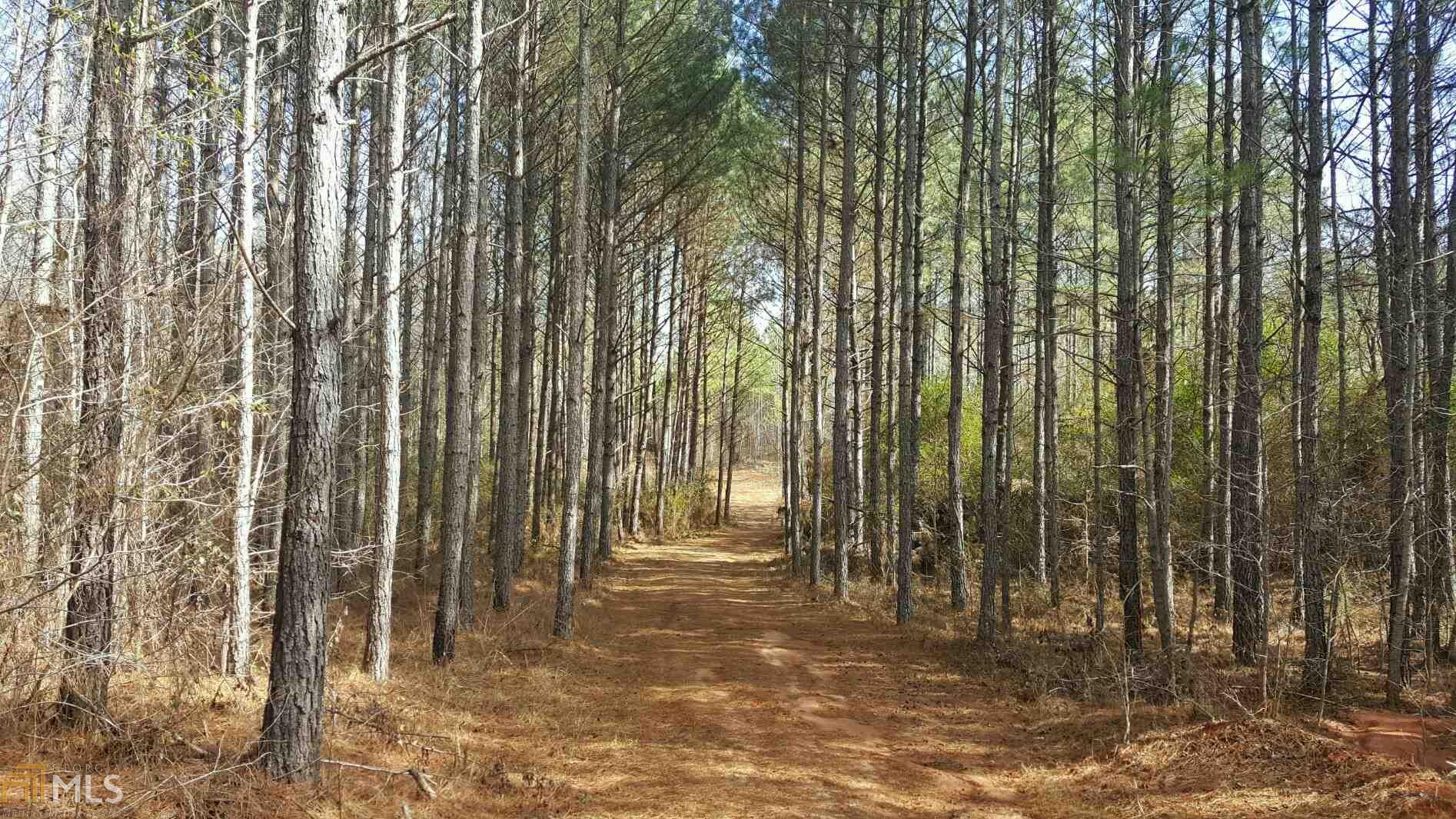 1121 Scott Branch Rd, Williamson, GA 30292 photo 20