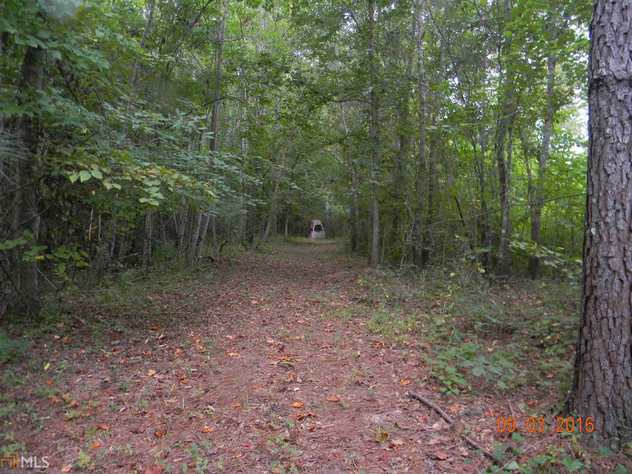 1121 Scott Branch Rd, Williamson, GA 30292 photo 10