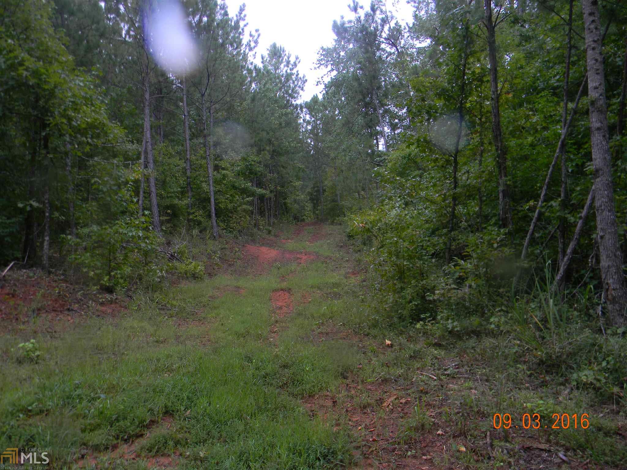 1121 Scott Branch Rd, Williamson, GA 30292 photo 12