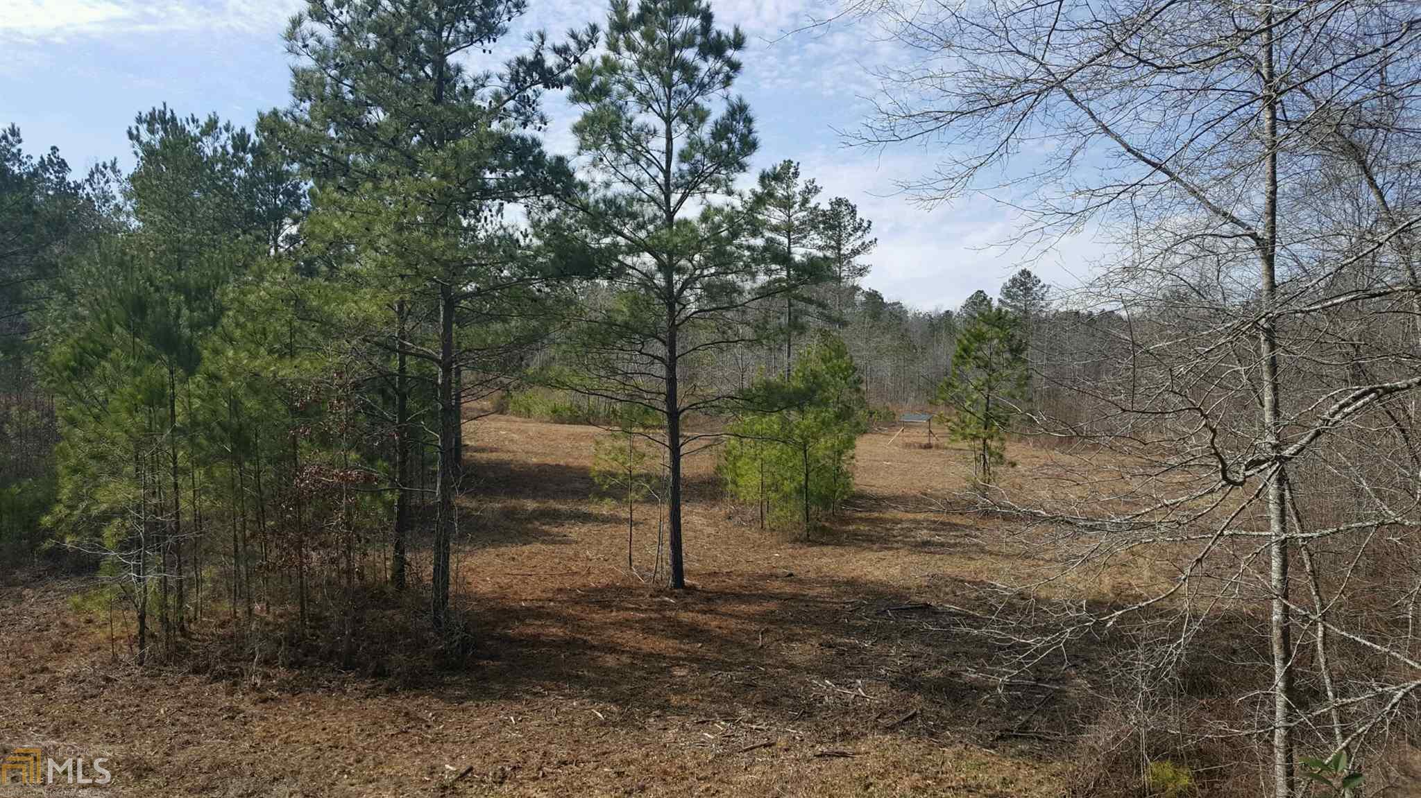 1121 Scott Branch Rd, Williamson, GA 30292 photo 21