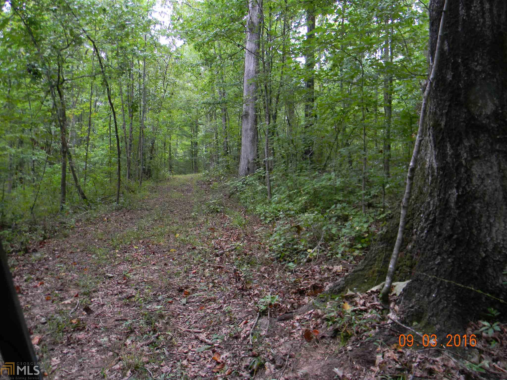 1121 Scott Branch Rd, Williamson, GA 30292 photo 13