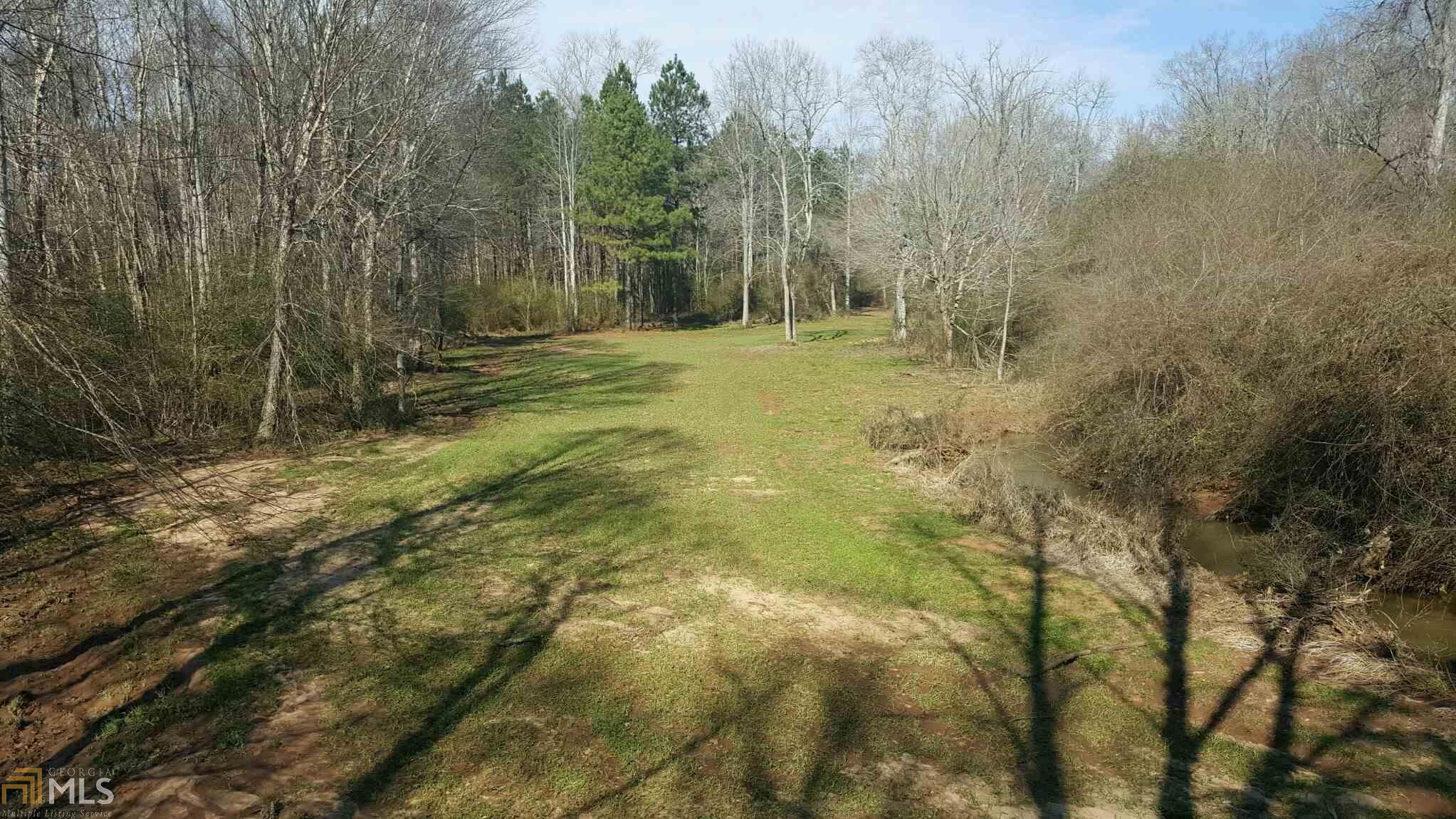 1121 Scott Branch Rd, Williamson, GA 30292 photo 19