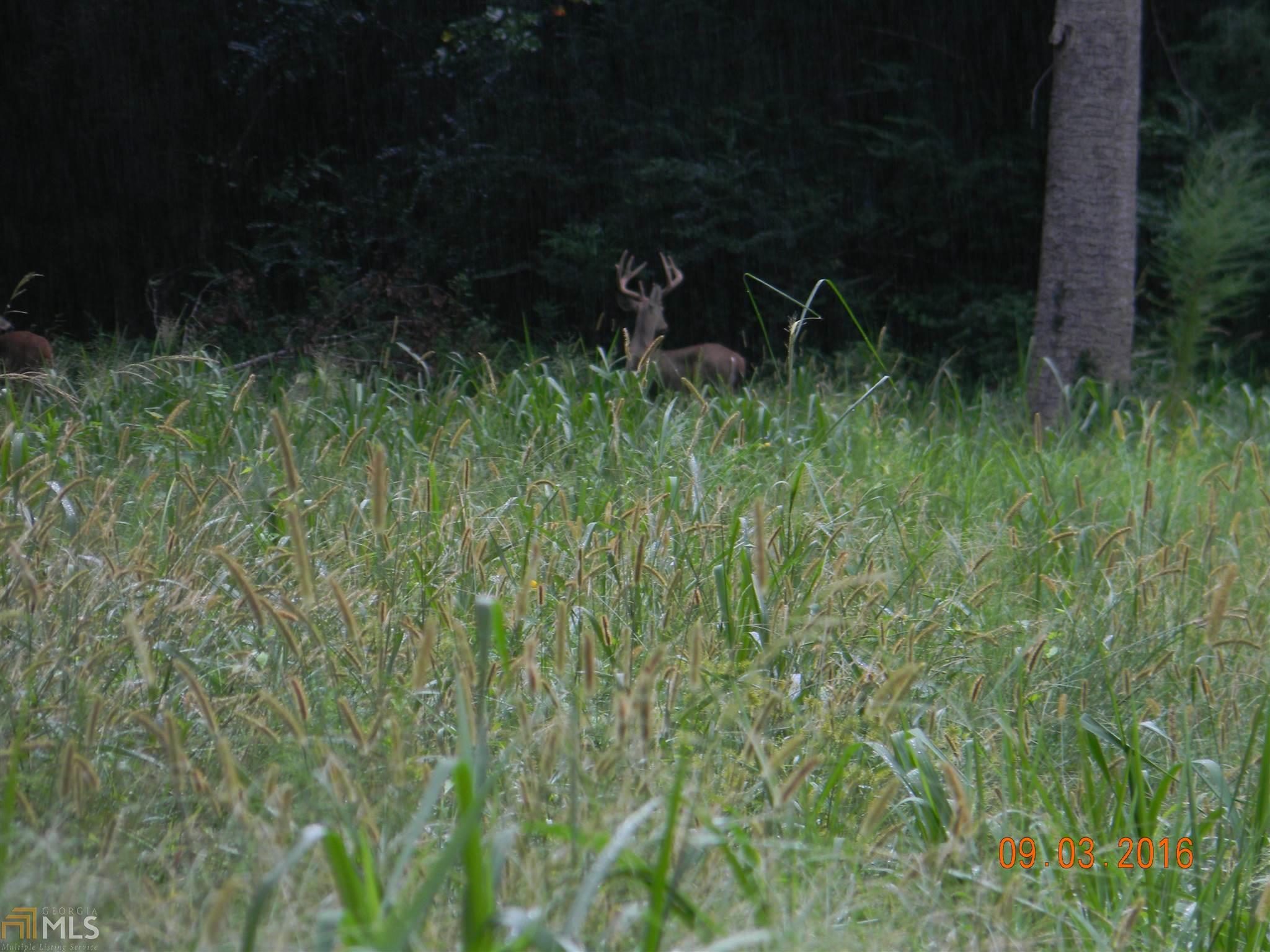 1121 Scott Branch Rd, Williamson, GA 30292 photo 14