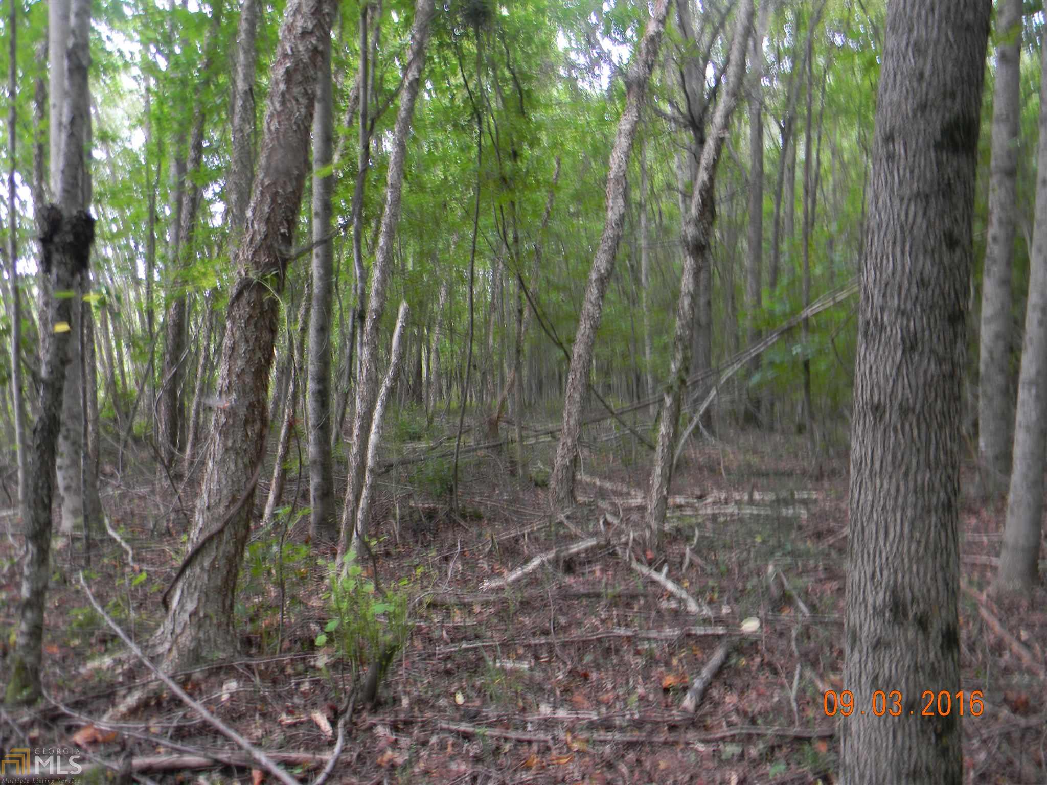1121 Scott Branch Rd, Williamson, GA 30292 photo 9