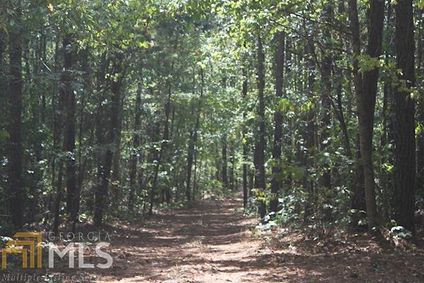 255 Reeves Rd, Barnesville, GA 30204 photo 19