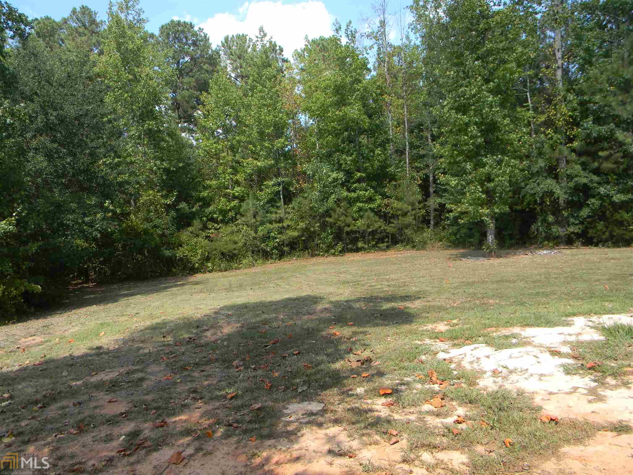 50 Cornus Dr, Covington, GA 30016 photo 17