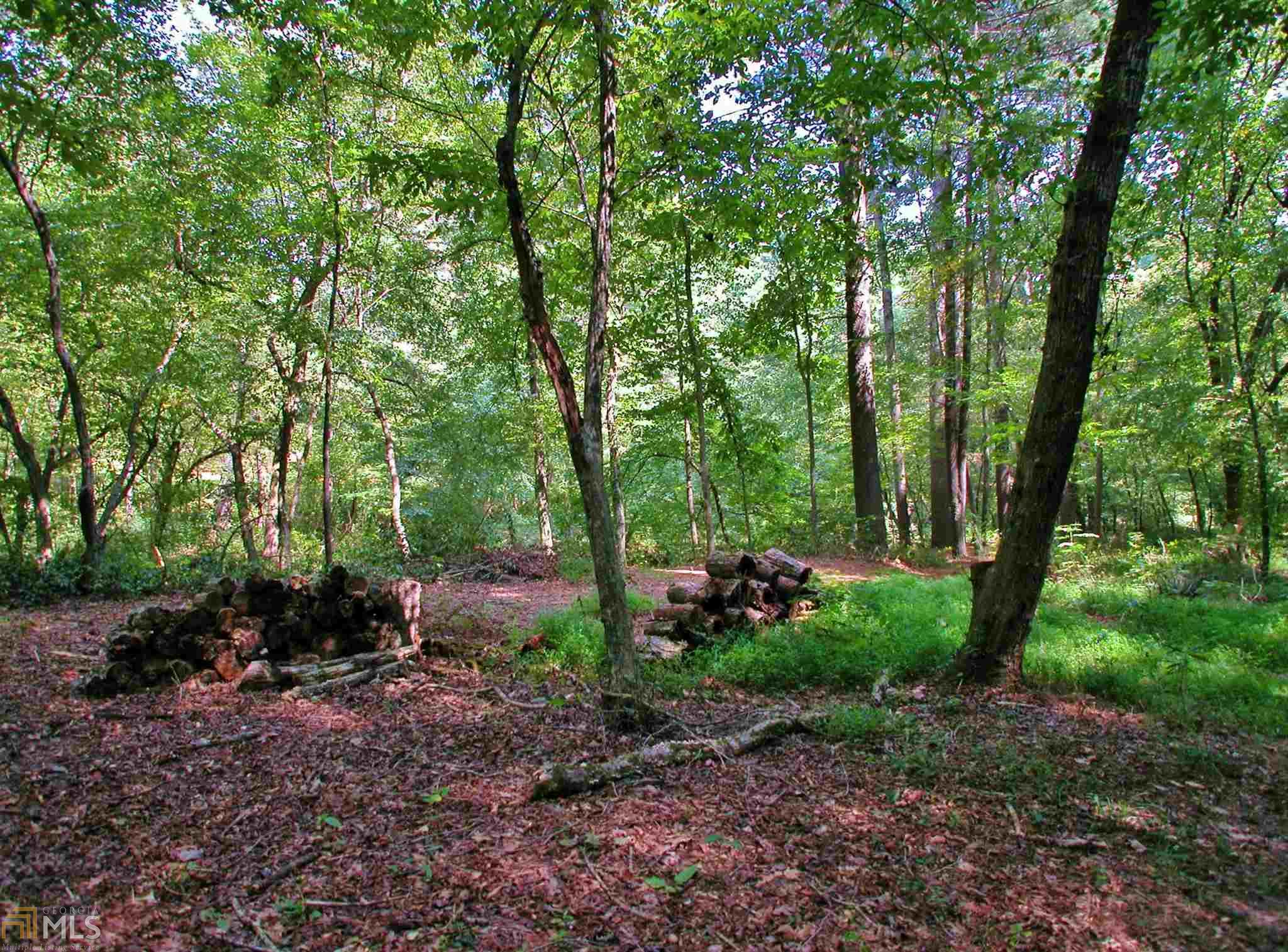 288 Miner Pt, Clarkesville, GA 30523 photo 34