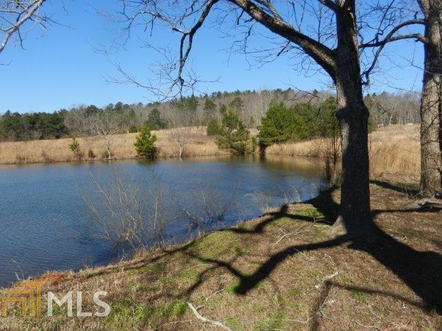 960 Anthony Rd, Molena, GA 30258 photo 6