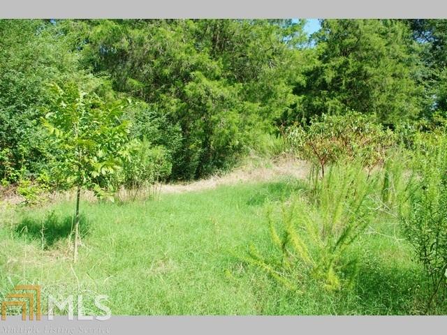 2319 Old State Rd, Pendergrass, GA 30567 photo 9