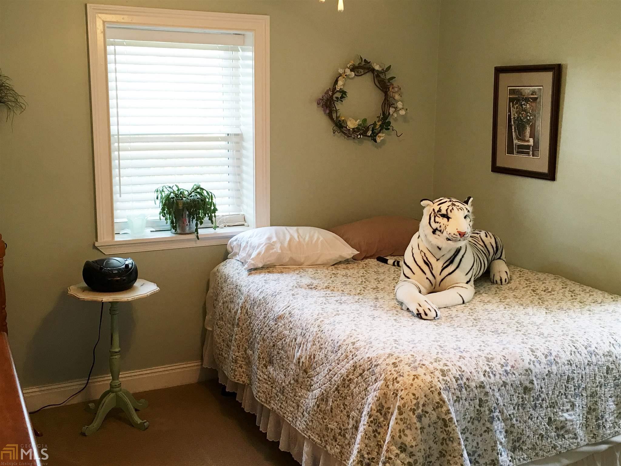 887 Hall Rd, Hampton, GA 30228 photo 20