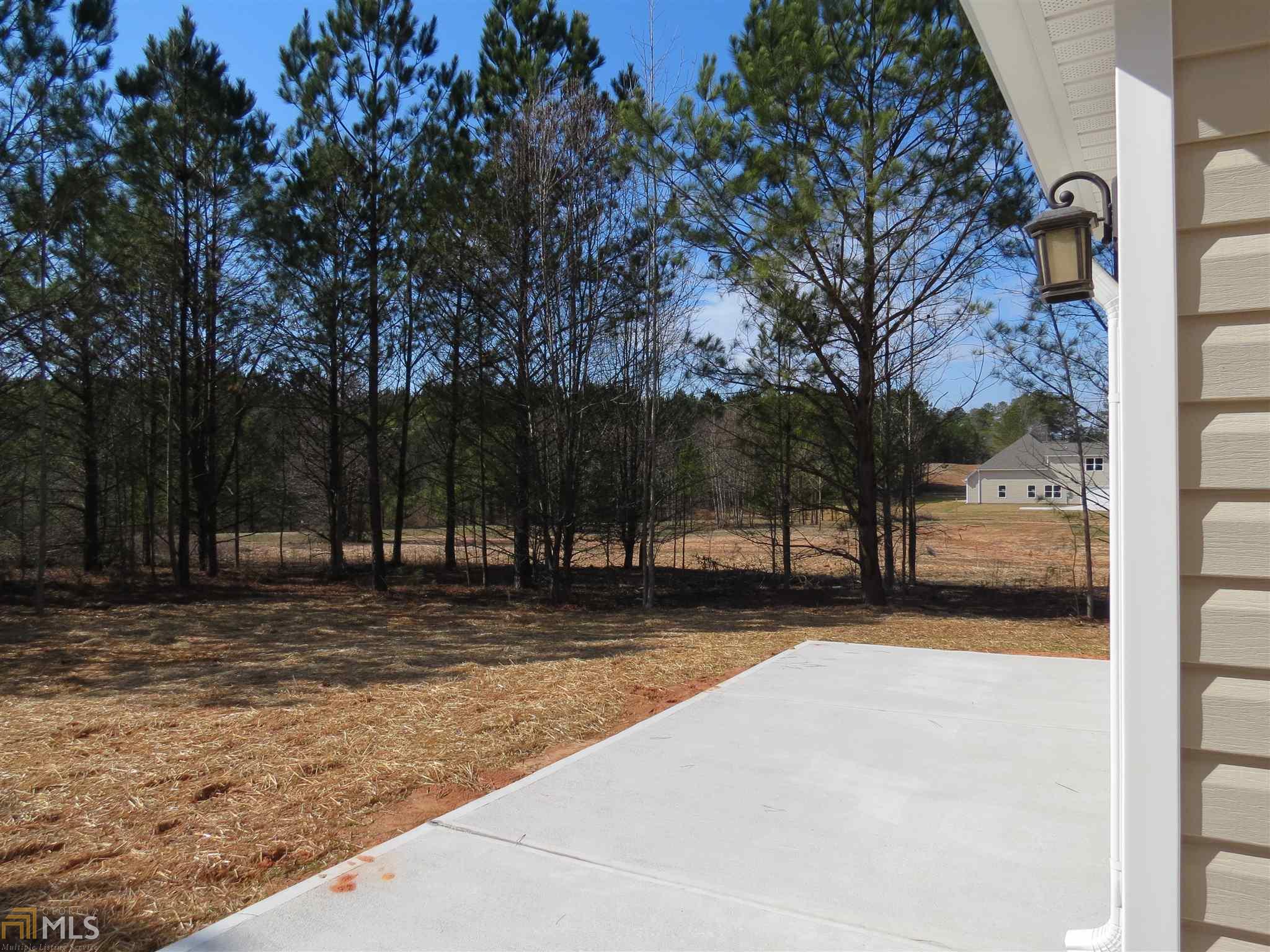 823 Smallwood Trce, Hampton, GA 30228 photo 9
