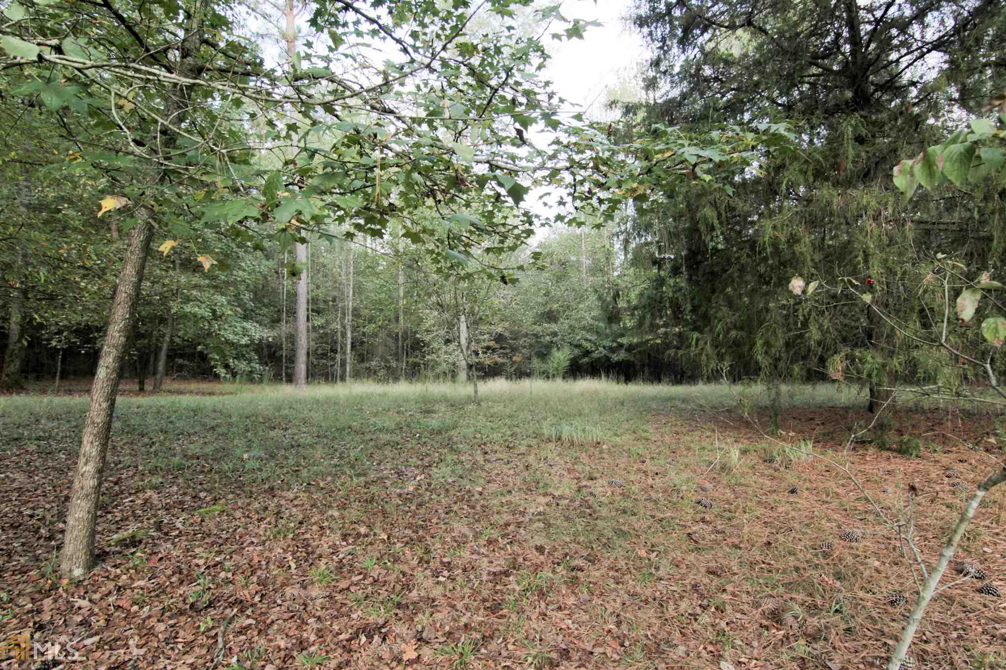 38 Kathleen Ct, Colbert, GA 30628 photo 34