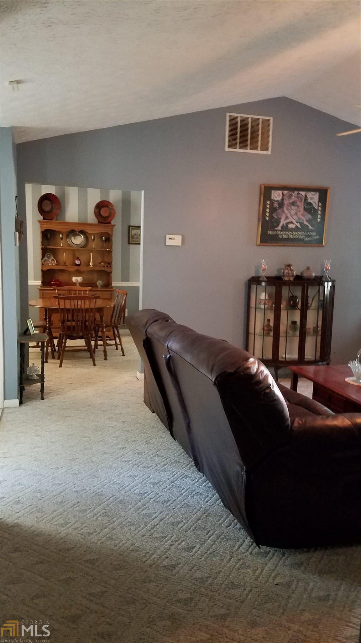 116 W Jessica Ln, Hampton, GA 30228 photo 11