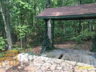 222 3rd Ave, Buchanan, GA 30113 photo 14