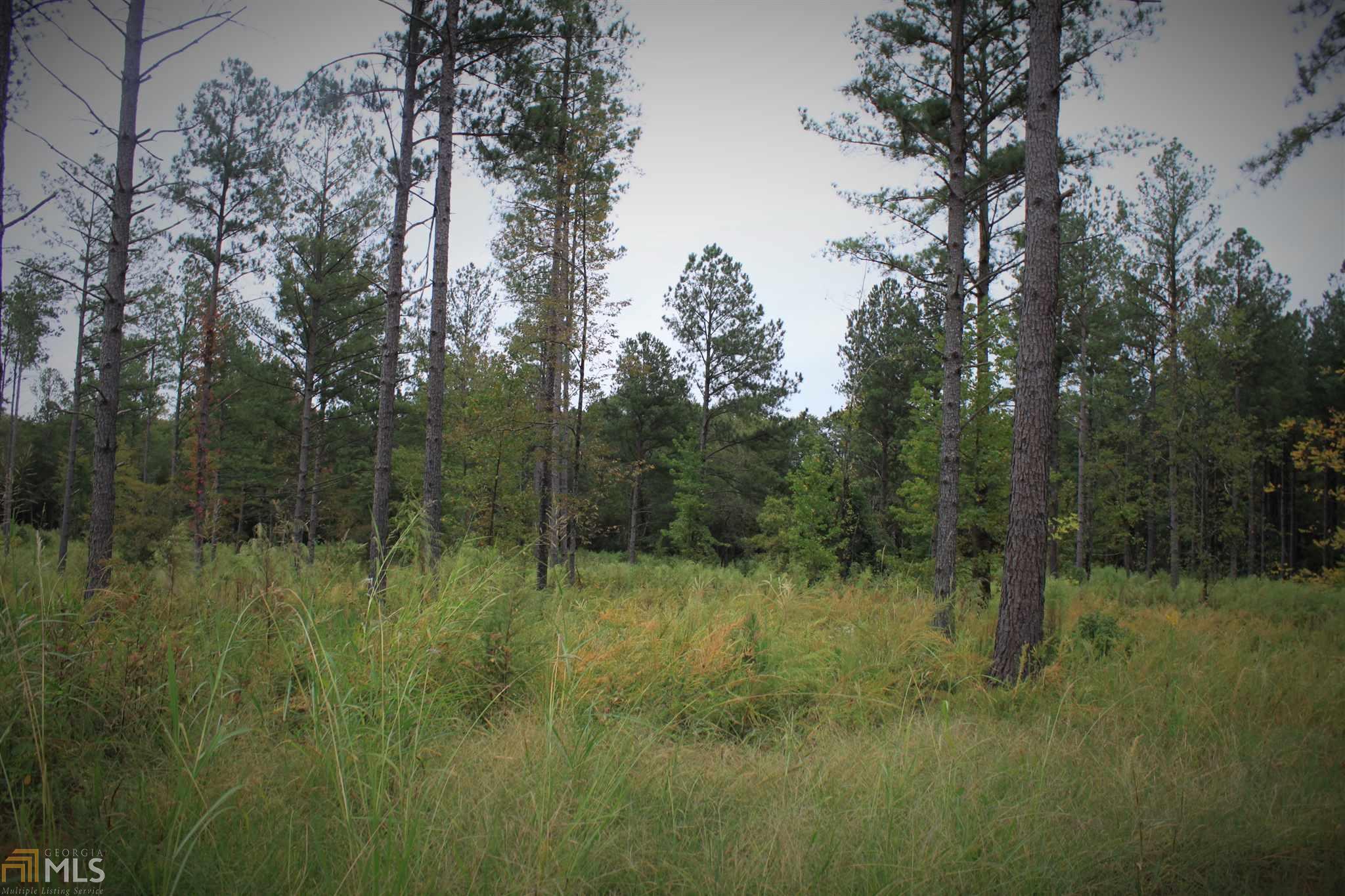4505 Locklin Rd, Monroe, GA 30655 photo 35