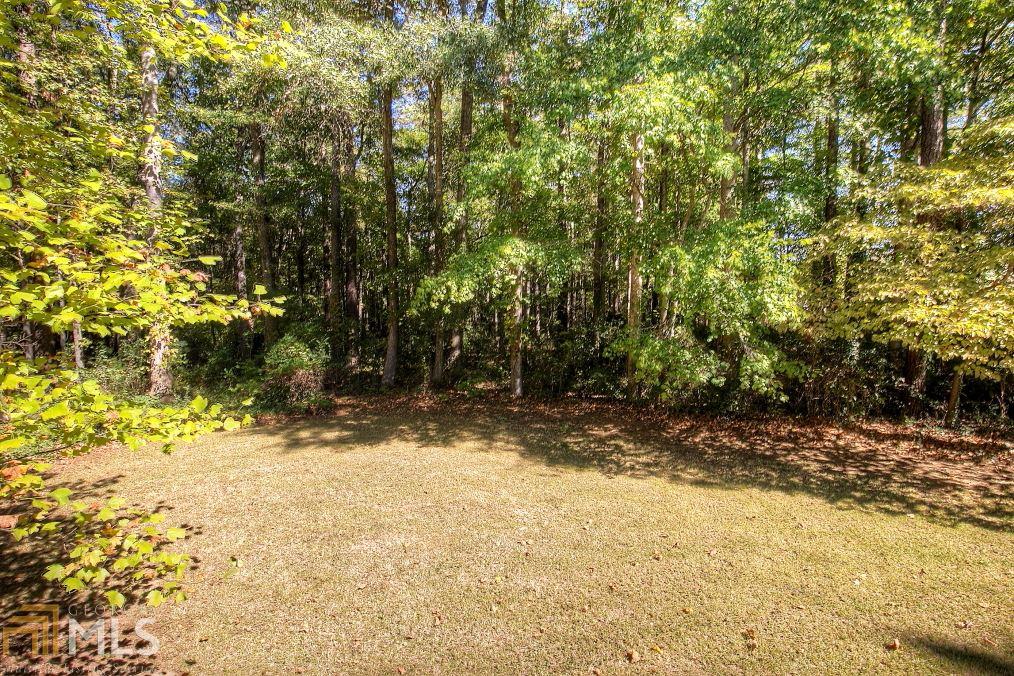 14 Ridge Dr, Hampton, GA 30228 photo 18