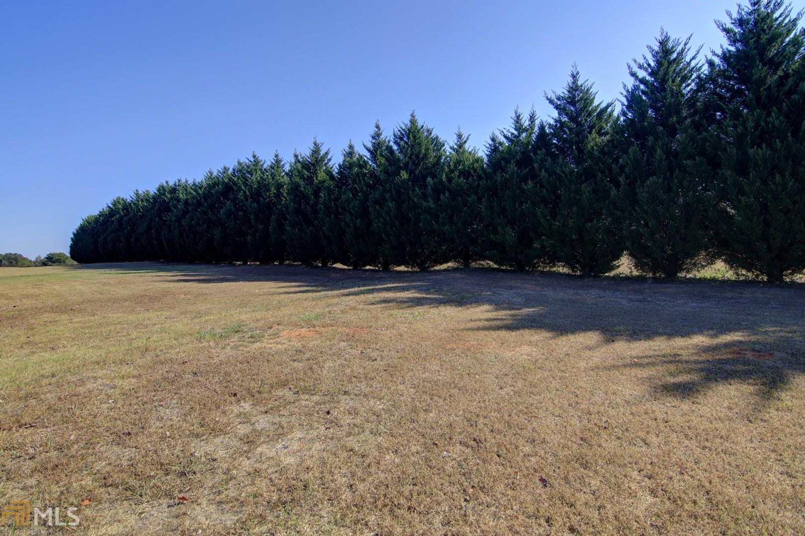 1111 Knights Ridge Dr, Rutledge, GA 30663 photo 25