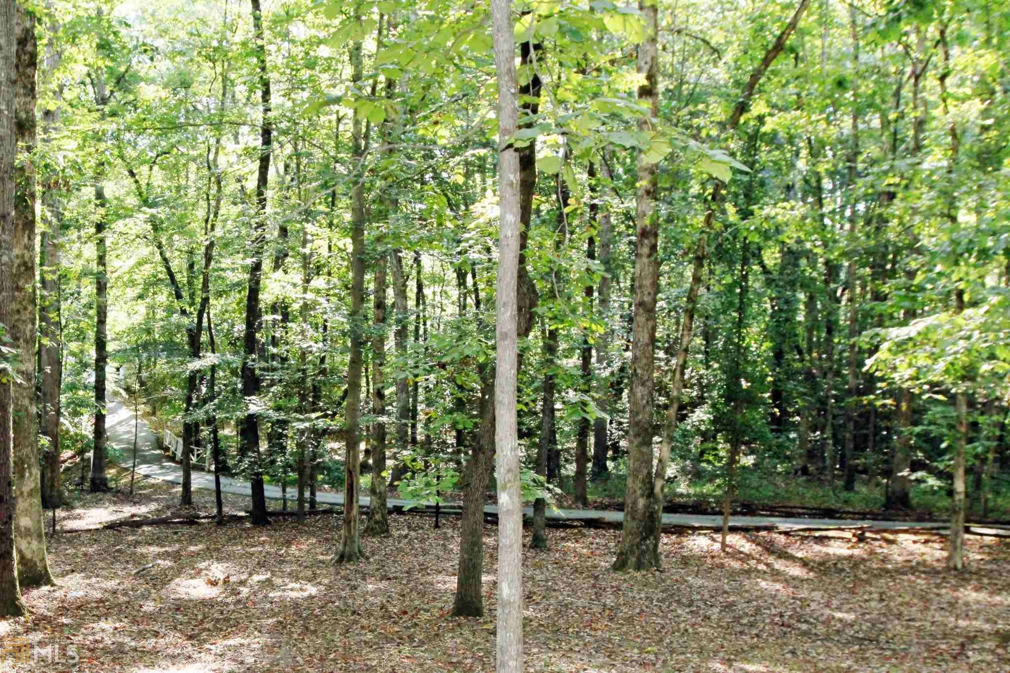 3915 Hamilton Ml, Buford, GA 30519 photo 23